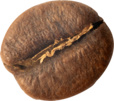 isolated coffee beans cut out on transparent background. png