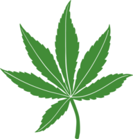 semplicità disegno a mano libera foglia di cannabis. png