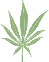 dessin à main levée de feuille de cannabis de simplicité. png