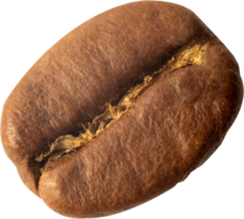 isolated coffee beans cut out on transparent background. png