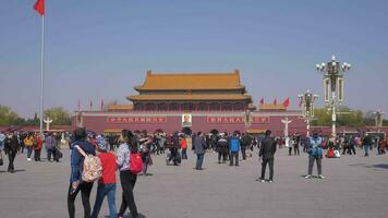 Beijing, China - marzo 15, 2019 tiananmen cuadrado y portón a prohibido ciudad a claro día. amplio disparo. video