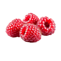 AI Generative raspberry with leaves on transparent background PNG image