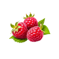 AI Generative raspberry with leaves on transparent background PNG image