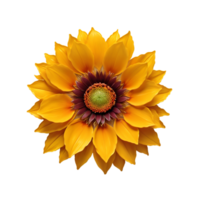 AI Generative yellow gerber daisy on transparent background PNG image