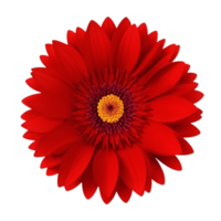 AI Generative red dahlia flower isolated on transparent background PNG image