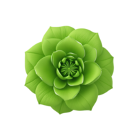 ai generativ grön reste sig blomma på transparent bakgrund png bild