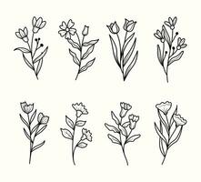 Set of flowers line art vector