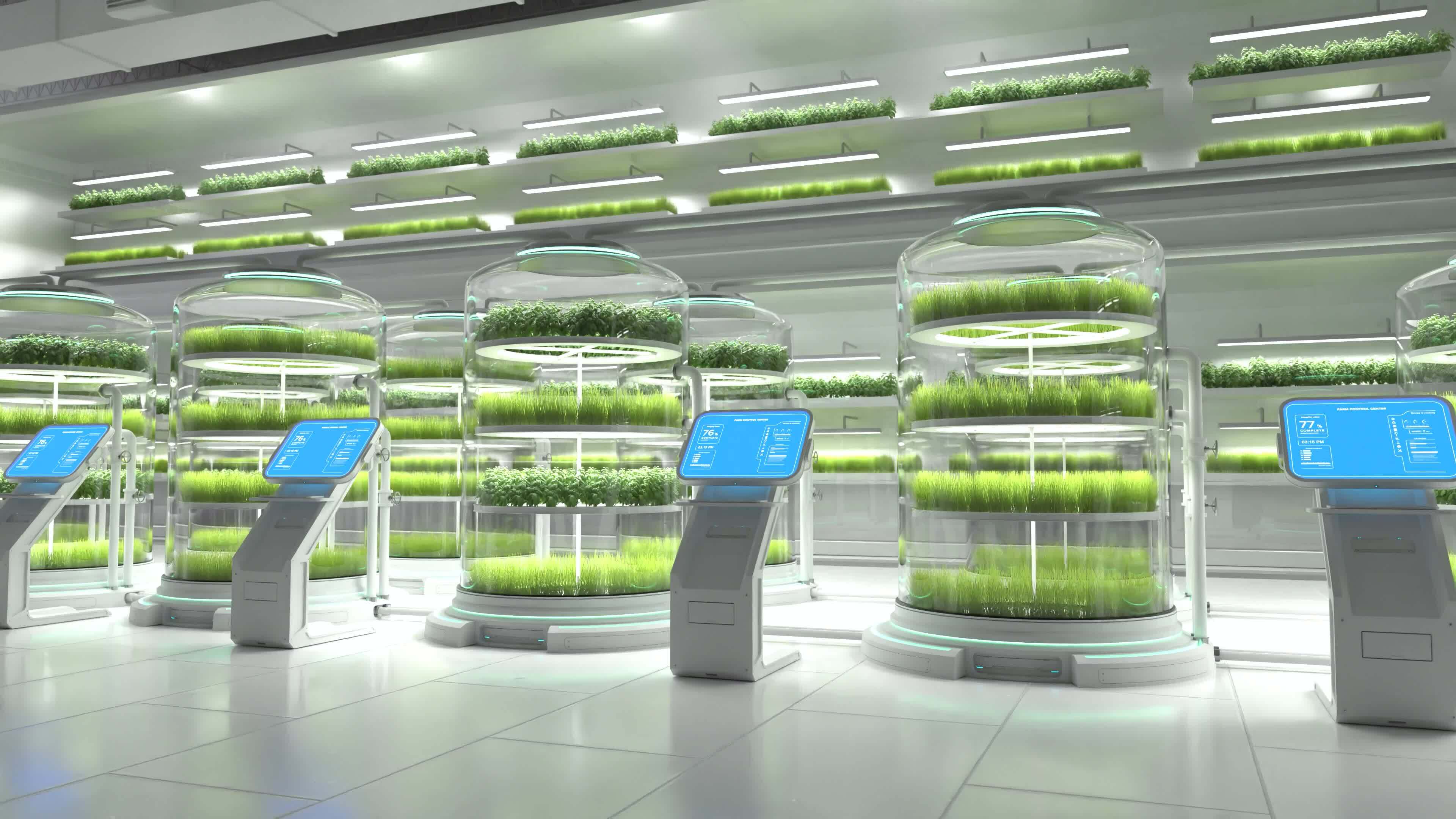 Plant Factory Stock Video Footage for Free Download
