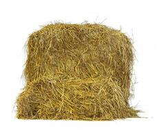 hay isolated on white background photo