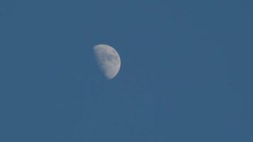 téléobjectif voir, lune avec bleu ciel pendant crépuscule, laps de temps vidéo video