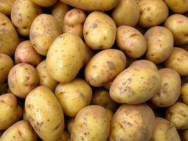 Fresco patatas en el mercado foto