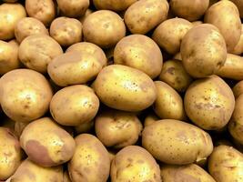 fresh potatoes in the market photo
