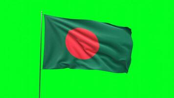 bandiera di bangladesh su verde sfondo, bandiera looping video