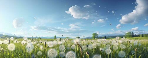 Field with dandelions and blue sky, Generative AI photo
