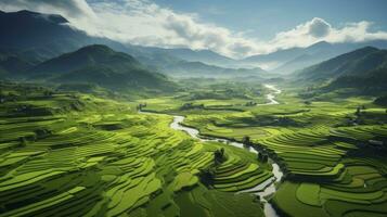 An aerial view of a vast and lush rice field, Generative AI photo