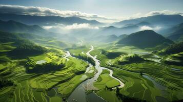 An aerial view of a vast and lush rice field, Generative AI photo