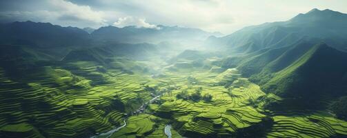 un aéreo ver de un vasto y lozano arroz campo, generativo ai foto