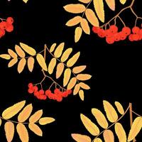 Rowan seamless pattern. Vector stock illustration. Bright red berries. Yellow leaves. Autumn background for printing.