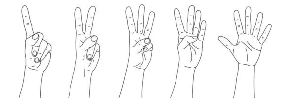 Set of hands. Counting from one to five with your hands. Finger-counting. Body language. Communication gestures concept. Linear black and white hands. Number 1, 2, 3, 4, 5 with hand sign vector