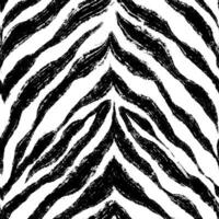 Black and white zebra seamless pattern. Texture with animal stripes. Background painted with brush. Stripes with grunge effect vector