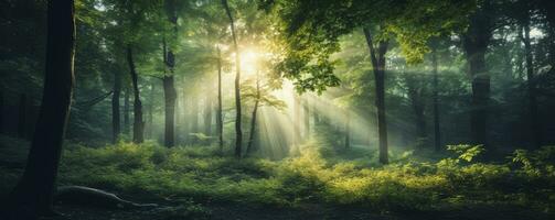 green forest trees with sun ray background, Generative AI photo