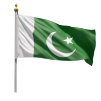 AI Generative waving Pakistani flag on transparent background PNG image