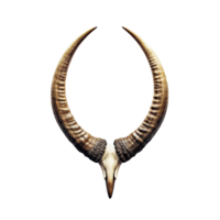 Animal horns isolated on transparent background, created with generative AI png