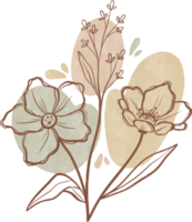 Botanical Line Drawings in Watercolor png