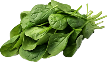 Bundle of fresh spinach png with AI generated.