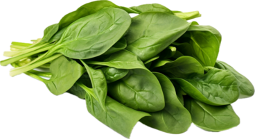 Bundle of fresh spinach png with AI generated.