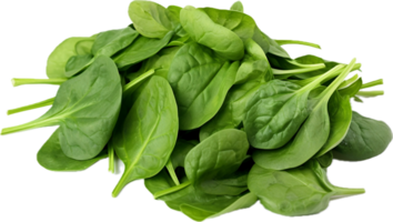 Bundle of fresh spinach png with AI generated.