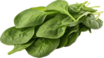 Bundle of fresh spinach png with AI generated.