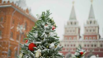 New Year tree with toys and garlands along with small trees stands in Moscow, Kremlin, winter. Fabulous snow on Christmas trees against the background of the Kremlin in Moscow. photo