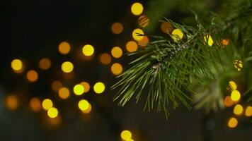 Christmas fair lights background. Branches of a Christmas tree in the foreground. Glowing yellow lights from bulbs and garlands on a blurred background. photo