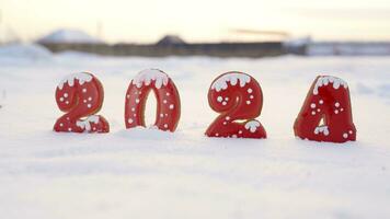 Numbers 2024 in the snow. Happy New Year. Numbers 2024. Isolated on white background. photo