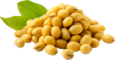 Soybeans png with AI generated.