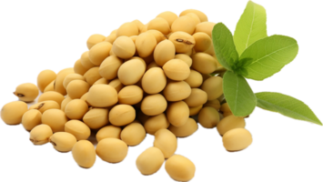 Soybeans png with AI generated.