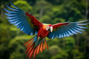 Beautiful macaw flying, Ara arakanga. Generative AI photo