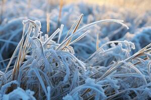 Frozen green grass, grass covered with frost in winter. Generative AI photo