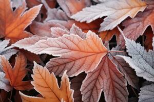 Frosty autumn morning. Hoarfrost on autumn leaves. Generative AI photo