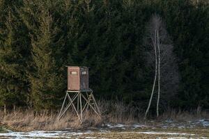 Wooden lookout tower for hunting in the woods and on meadow photo