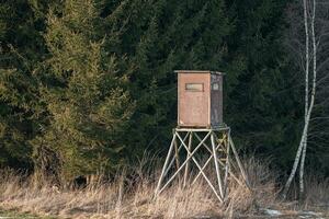 Wooden lookout tower for hunting in the woods and on meadow photo