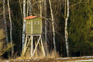 Wooden lookout tower for hunting in the woods and on meadow photo