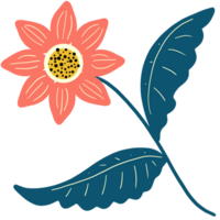 ein tropisch Blume png