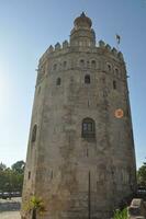 torre del oro traducir torre de oro en Sevilla foto