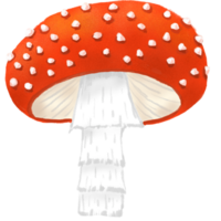 mignonne champignon illustration. png