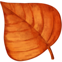 l'automne feuille. tomber feuille illustration clipart. png