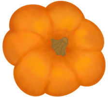 citrouille tomber l'automne clipart illustration. png