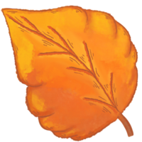 autumn leaf.  fall leaf illustration clipart. png