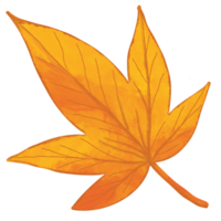 herfst blad. vallen blad illustratie clip art. png